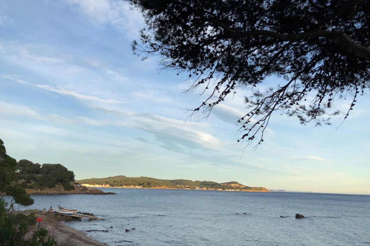 Studio ST-MANDRIER 300m MER Saint-Mandrier-sur-Mer Eksteriør bilde